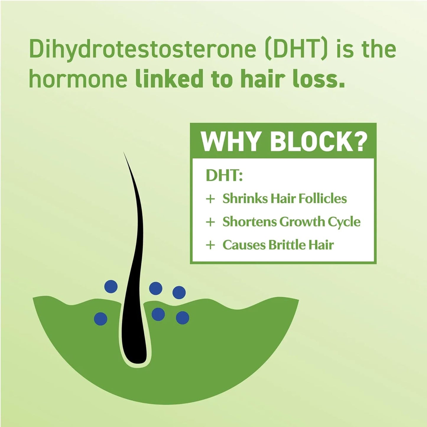 DHT Blocking Supplements – DHT·7 Blend with Saw Palmetto, Kelp, Reishi Mushroom, Green Tea, Nettle Leaf, Dandelion Root & Pygeum Bark – Promotes Thicker, Fuller Hair for Men & Women – 60 Capsules