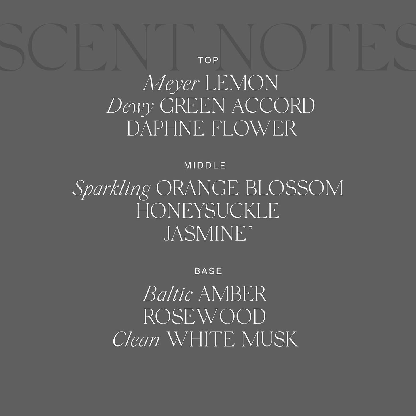 Antica Farmacista Body Moisturizer - Moisturizing Scented Lotion - Premium Body Moisturizer - Luxury Gift for Women & Men - Hand & Skin Hydration - Daphne, 10 Fl Oz