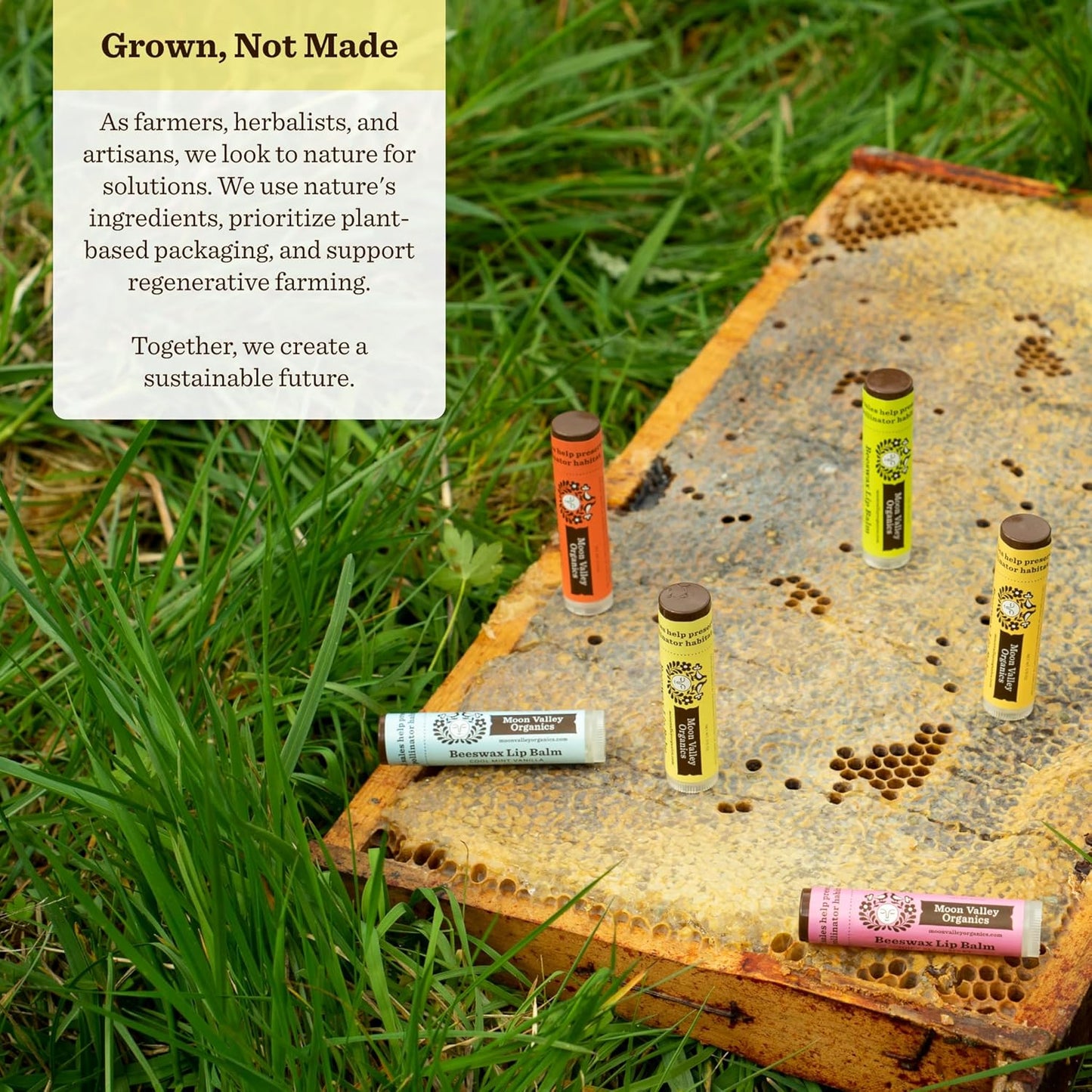 Moon Valley Organics Beeswax Lip Balm for Moisturizing Lips and Cuticles (Honey | Mint Vanilla | Vanilla | Blackberry, 4 Count (Pack of 1))